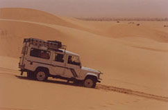 Le land dans les dunes